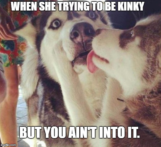 Trying to spice up Valentine's day does not always work | WHEN SHE TRYING TO BE KINKY; BUT YOU AIN'T INTO IT. | image tagged in not into it dog,meme,memes,valentine's day,valentines,dogs | made w/ Imgflip meme maker
