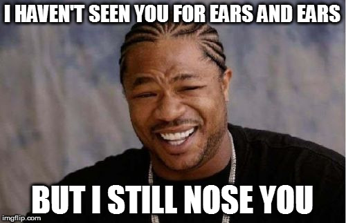 Yo Dawg Heard You Meme | I HAVEN'T SEEN YOU FOR EARS AND EARS BUT I STILL NOSE YOU | image tagged in memes,yo dawg heard you | made w/ Imgflip meme maker
