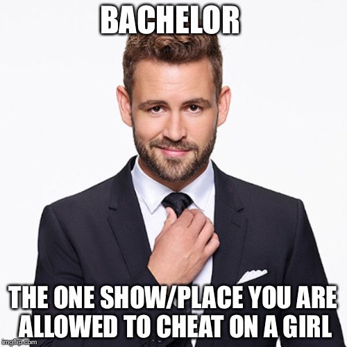 Nick Bachelor  | BACHELOR; THE ONE SHOW/PLACE YOU ARE ALLOWED TO CHEAT ON A GIRL | image tagged in nick bachelor | made w/ Imgflip meme maker
