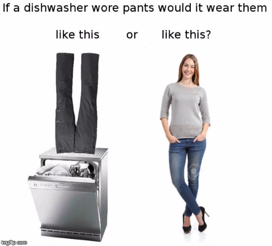 If A Dish Washer Wore pants would it wear them like this or like this? | image tagged in memes,funny,autism,edgy | made w/ Imgflip meme maker