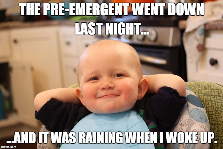Baby Boss Relaxed Smug Content | THE PRE-EMERGENT WENT DOWN; LAST NIGHT... ...AND IT WAS RAINING WHEN I WOKE UP. | image tagged in baby boss relaxed smug content | made w/ Imgflip meme maker