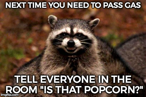 Evil Plotting Raccoon | NEXT TIME YOU NEED TO PASS GAS; TELL EVERYONE IN THE ROOM "IS THAT POPCORN?" | image tagged in memes,evil plotting raccoon | made w/ Imgflip meme maker