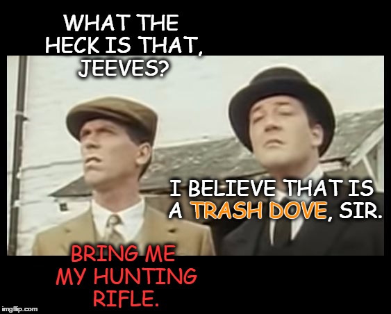It's Dove Season |  WHAT THE HECK IS THAT, JEEVES? BRING ME MY HUNTING RIFLE. I BELIEVE THAT IS A TRASH DOVE, SIR. TRASH DOVE | image tagged in trash dove,nope,wooster,hunting season,what the heck is that jeeves? | made w/ Imgflip meme maker