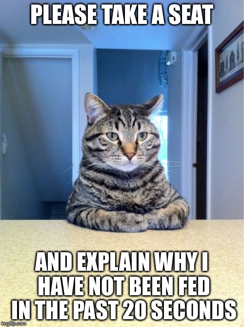 Take A Seat Cat | PLEASE TAKE A SEAT; AND EXPLAIN WHY I HAVE NOT BEEN FED IN THE PAST 20 SECONDS | image tagged in memes,take a seat cat | made w/ Imgflip meme maker