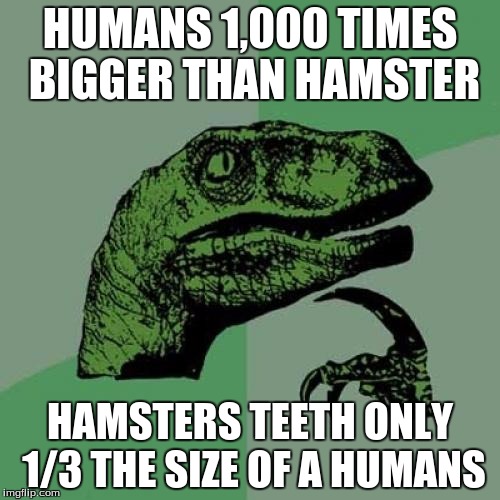 Philosoraptor Meme | HUMANS 1,000 TIMES BIGGER THAN HAMSTER; HAMSTERS TEETH ONLY 1/3 THE SIZE OF A HUMANS | image tagged in memes,philosoraptor | made w/ Imgflip meme maker
