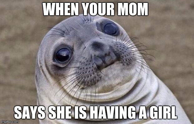 Awkward Moment Sealion | WHEN YOUR MOM; SAYS SHE IS HAVING A GIRL | image tagged in memes,awkward moment sealion | made w/ Imgflip meme maker