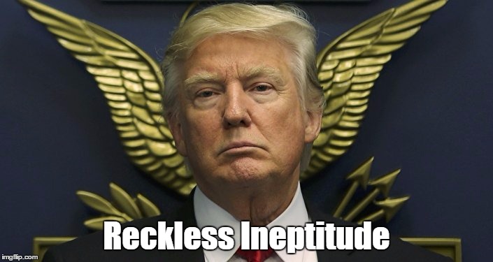 Trump's Reckless Ineptitude | Reckless Ineptitude | image tagged in trump's ineptitude,trump is clueless about government,trump is an angry autocrat,trump is unqualified,trump is in over his head | made w/ Imgflip meme maker