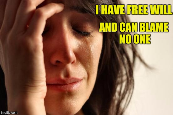 First World Problems | I HAVE FREE WILL; AND CAN BLAME NO ONE | image tagged in memes,first world problems | made w/ Imgflip meme maker