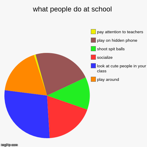 image tagged in funny,pie charts | made w/ Imgflip chart maker