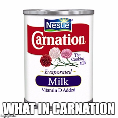 WHAT IN CARNATION | image tagged in what in tarnation | made w/ Imgflip meme maker