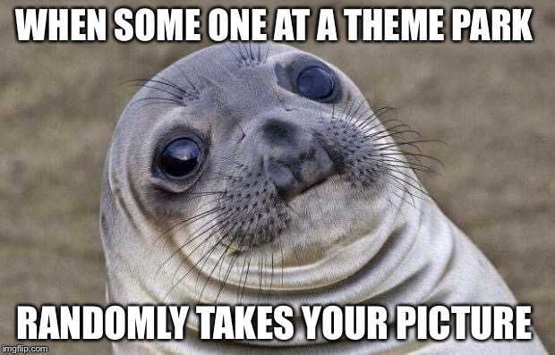 Awkward Moment Sealion | WHEN SOME ONE AT A THEME PARK; RANDOMLY TAKES YOUR PICTURE | image tagged in memes,awkward moment sealion | made w/ Imgflip meme maker