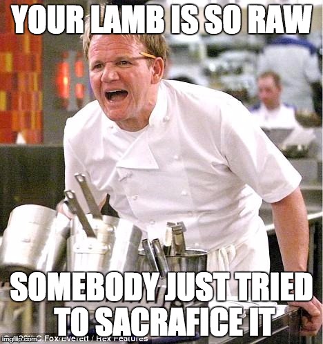 SHUT IT DOWN! SHUT IT ALL DOWN! | YOUR LAMB IS SO RAW; SOMEBODY JUST TRIED TO SACRAFICE IT | image tagged in memes,chef gordon ramsay | made w/ Imgflip meme maker