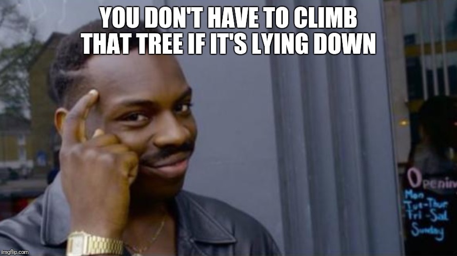YOU DON'T HAVE TO CLIMB THAT TREE IF IT'S LYING DOWN | image tagged in sexy women,tall | made w/ Imgflip meme maker