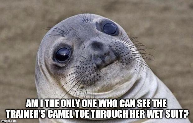 Awkward Moment Sealion | AM I THE ONLY ONE WHO CAN SEE THE TRAINER'S CAMEL TOE THROUGH HER WET SUIT? | image tagged in memes,awkward moment sealion | made w/ Imgflip meme maker