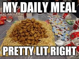 my daily meal | MY DAILY MEAL; PRETTY LIT RIGHT | image tagged in chicken nuggets | made w/ Imgflip meme maker