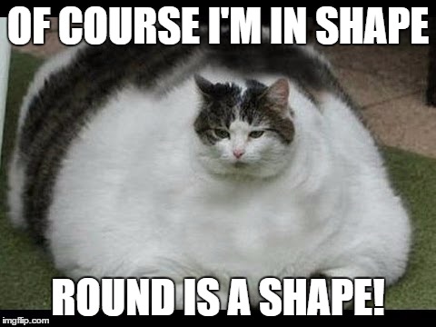 Fattie boy | OF COURSE I'M IN SHAPE; ROUND IS A SHAPE! | image tagged in fat cat | made w/ Imgflip meme maker