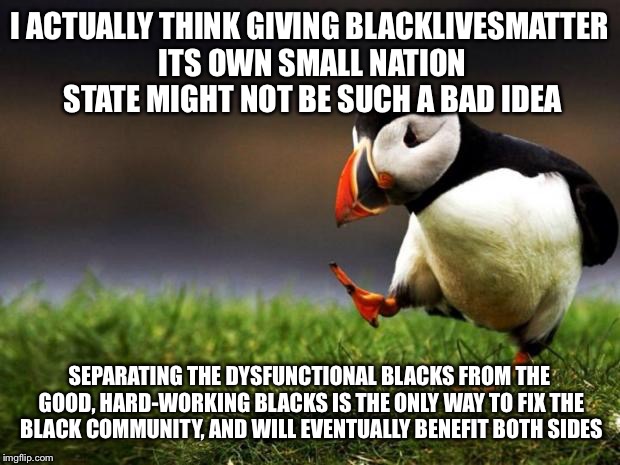 Unpopular Opinion Puffin Meme | I ACTUALLY THINK GIVING BLACKLIVESMATTER ITS OWN SMALL NATION STATE MIGHT NOT BE SUCH A BAD IDEA; SEPARATING THE DYSFUNCTIONAL BLACKS FROM THE GOOD, HARD-WORKING BLACKS IS THE ONLY WAY TO FIX THE BLACK COMMUNITY, AND WILL EVENTUALLY BENEFIT BOTH SIDES | image tagged in memes,unpopular opinion puffin | made w/ Imgflip meme maker