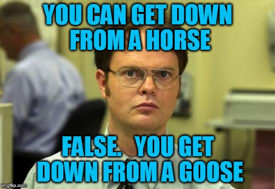 This one got me a little down in the mouth. :) | YOU CAN GET DOWN FROM A HORSE; FALSE.   YOU GET DOWN FROM A GOOSE | image tagged in memes,dwight schrute | made w/ Imgflip meme maker
