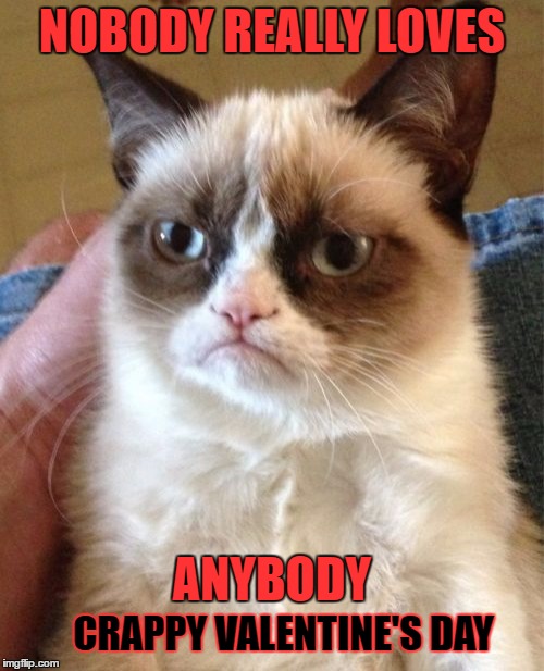 Grumpy Cat Meme | NOBODY REALLY LOVES; ANYBODY; CRAPPY VALENTINE'S DAY | image tagged in memes,grumpy cat | made w/ Imgflip meme maker