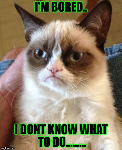 Grumpy Cat | I'M BORED.. I DONT KNOW WHAT TO DO......... | image tagged in memes,grumpy cat | made w/ Imgflip meme maker