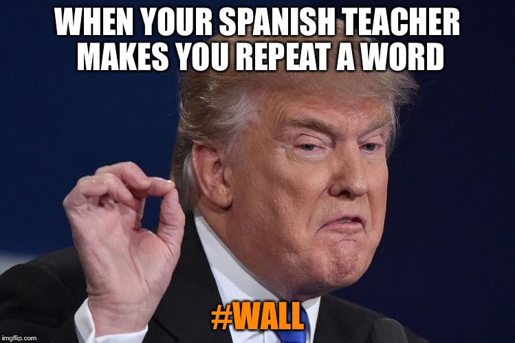 WHEN YOUR SPANISH TEACHER MAKES YOU REPEAT A WORD; #WALL | image tagged in grumpy trumpy | made w/ Imgflip meme maker