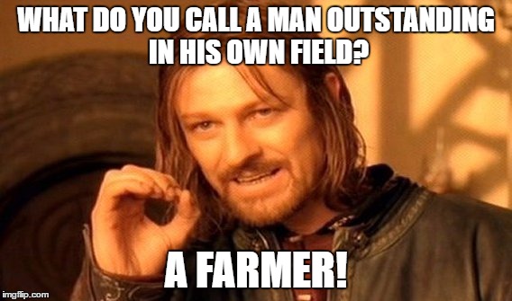 One Does Not Simply Meme | WHAT DO YOU CALL A MAN OUTSTANDING IN HIS OWN FIELD? A FARMER! | image tagged in memes,one does not simply | made w/ Imgflip meme maker
