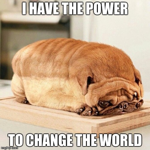 BREAD PUG POWA | I HAVE THE POWER; TO CHANGE THE WORLD | image tagged in bread,pug | made w/ Imgflip meme maker