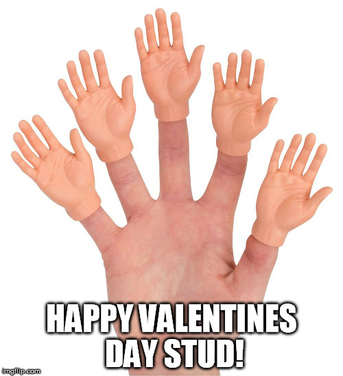 Happy Valentines Day | HAPPY VALENTINES DAY STUD! | image tagged in valentine's day,funny | made w/ Imgflip meme maker