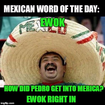 Ewok right into California. | EWOK; HOW DID PEDRO GET INTO MERICA? EWOK RIGHT IN | image tagged in mexican word of the day large | made w/ Imgflip meme maker