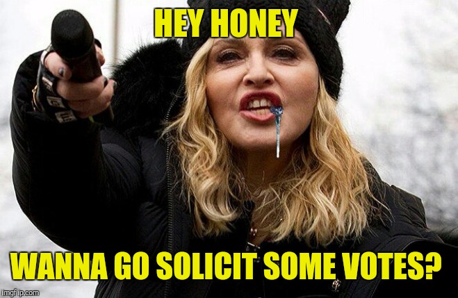 HEY HONEY WANNA GO SOLICIT SOME VOTES? | made w/ Imgflip meme maker