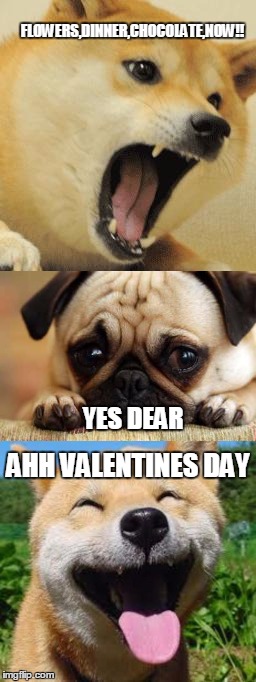 valentines pain | FLOWERS,DINNER,CHOCOLATE,NOW!! YES DEAR; AHH VALENTINES DAY | image tagged in valentines day | made w/ Imgflip meme maker