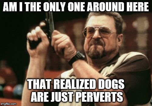 Am I The Only One Around Here Meme | AM I THE ONLY ONE AROUND HERE THAT REALIZED DOGS ARE JUST PERVERTS | image tagged in memes,am i the only one around here | made w/ Imgflip meme maker