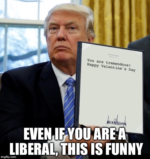 EVEN IF YOU ARE A LIBERAL, THIS IS FUNNY | image tagged in trump | made w/ Imgflip meme maker