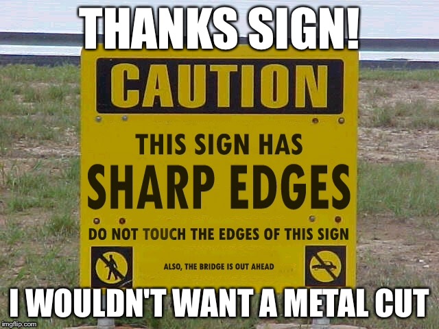@Leolizard | Sharp Edges | THANKS SIGN! I WOULDN'T WANT A METAL CUT | image tagged in memes,leolizard,metal cut,paper cut | made w/ Imgflip meme maker