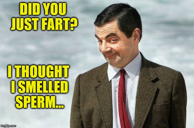 Mr. Bean Did You Fart, I Though I Smelled Sperm | DID YOU JUST FART? I THOUGHT I SMELLED SPERM... | image tagged in sperm fart,memes,funny memes,mr bean | made w/ Imgflip meme maker