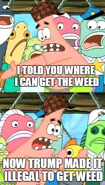 Put It Somewhere Else Patrick Meme | I TOLD YOU WHERE I CAN GET THE WEED; NOW TRUMP MADE IT ILLEGAL TO GET WEED | image tagged in memes,put it somewhere else patrick,scumbag | made w/ Imgflip meme maker