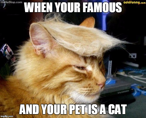 donald trump cat | WHEN YOUR FAMOUS; AND YOUR PET IS A CAT | image tagged in donald trump cat | made w/ Imgflip meme maker