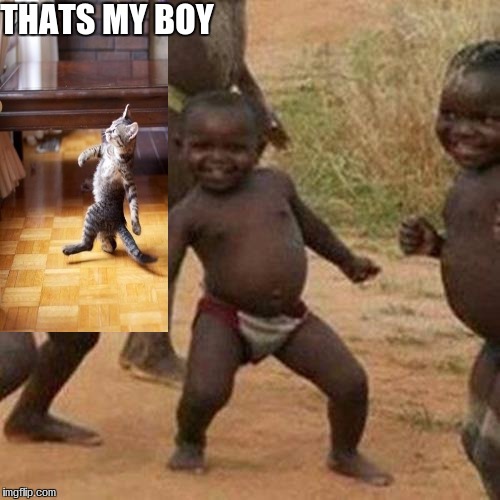Third World Success Kid Meme | THATS MY BOY | image tagged in memes,third world success kid | made w/ Imgflip meme maker