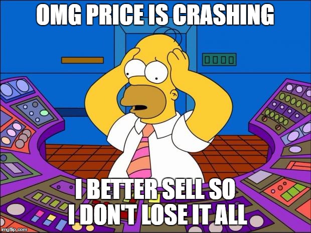 Homer Panic | OMG PRICE IS CRASHING; I BETTER SELL SO I DON'T LOSE IT ALL | image tagged in homer panic | made w/ Imgflip meme maker