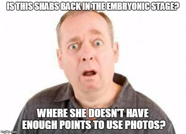 IS THIS SHABS BACK IN THE EMBRYONIC STAGE? WHERE SHE DOESN'T HAVE ENOUGH POINTS TO USE PHOTOS? | made w/ Imgflip meme maker