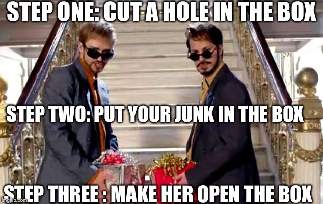 If you need an idea for Valentine's Day  | STEP ONE: CUT A HOLE IN THE BOX; STEP TWO: PUT YOUR JUNK IN THE BOX; STEP THREE : MAKE HER OPEN THE BOX | image tagged in d in a box,funny,memes,valentine's day,animals,gifs | made w/ Imgflip meme maker