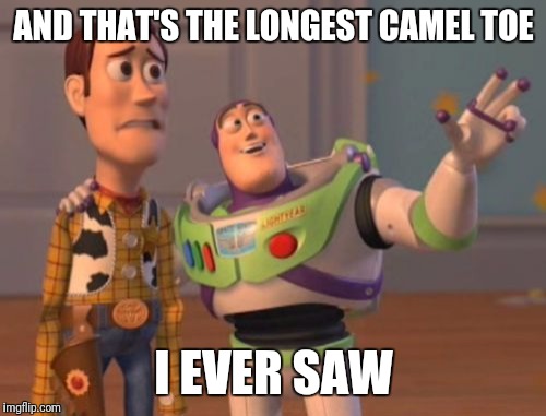 X, X Everywhere Meme | AND THAT'S THE LONGEST CAMEL TOE I EVER SAW | image tagged in memes,x x everywhere | made w/ Imgflip meme maker