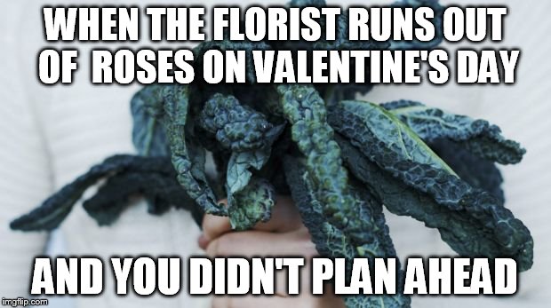 Valentine's Day Plan Failure | WHEN THE FLORIST RUNS OUT OF  ROSES ON VALENTINE'S DAY; AND YOU DIDN'T PLAN AHEAD | image tagged in valentine's day | made w/ Imgflip meme maker