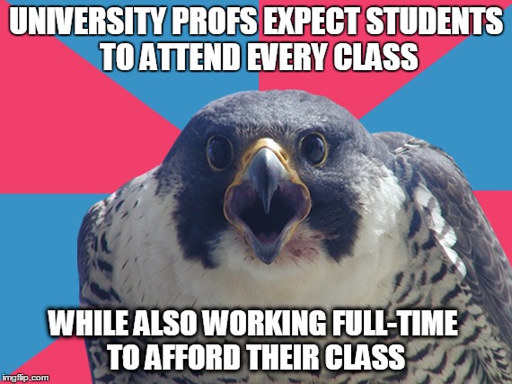 Unrealistic expectations | UNIVERSITY PROFS EXPECT STUDENTS TO ATTEND EVERY CLASS; WHILE ALSO WORKING FULL-TIME TO AFFORD THEIR CLASS | image tagged in millenial falcon,millennials,university | made w/ Imgflip meme maker