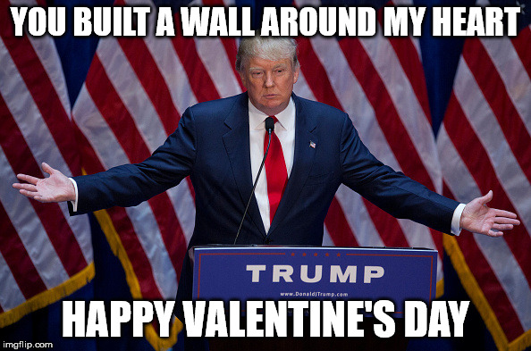 Donald Trump | YOU BUILT A WALL AROUND MY HEART; HAPPY VALENTINE'S DAY | image tagged in donald trump | made w/ Imgflip meme maker