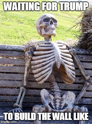 Waiting Skeleton | WAITING FOR TRUMP; TO BUILD THE WALL LIKE | image tagged in memes,waiting skeleton | made w/ Imgflip meme maker