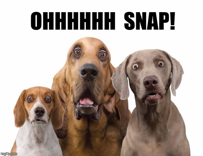 OHHHHHH  SNAP! | image tagged in say wha | made w/ Imgflip meme maker