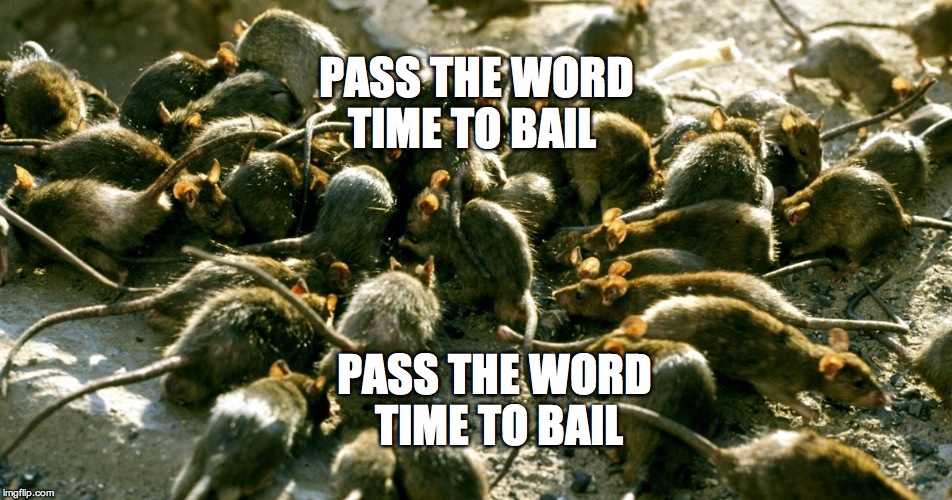 rats | PASS THE WORD 
TIME TO BAIL; PASS THE WORD
 




TIME TO BAIL | image tagged in rats | made w/ Imgflip meme maker