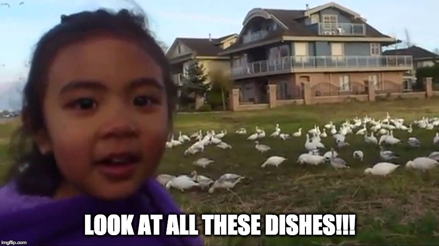Look at All Those Chickens | LOOK AT ALL THESE DISHES!!! | image tagged in look at all those chickens | made w/ Imgflip meme maker