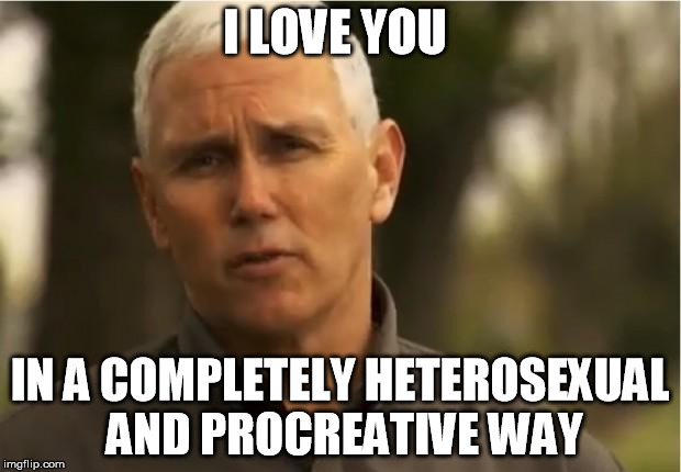 Mike Pence | I LOVE YOU; IN A COMPLETELY HETEROSEXUAL AND PROCREATIVE WAY | image tagged in mike pence | made w/ Imgflip meme maker